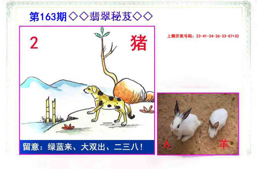 163期翡翠报[图]